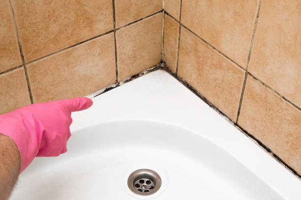 Crawl Space Mold Removal in Hidden Valley Lake, CA